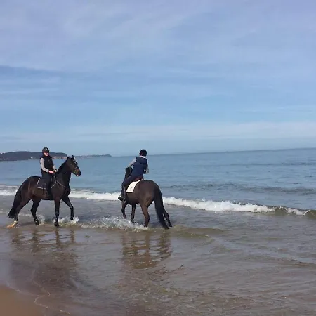 Dani-apart Apartman *