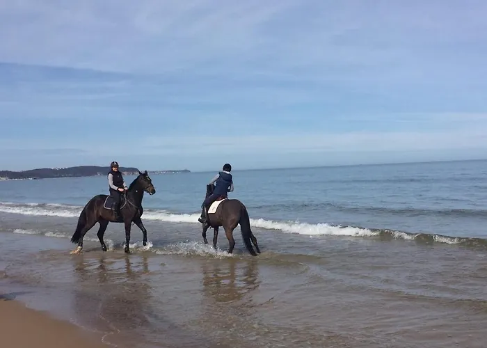 Dani-apart Lägenhet *